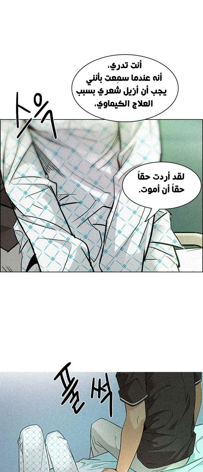 الصفحة 35 من 55