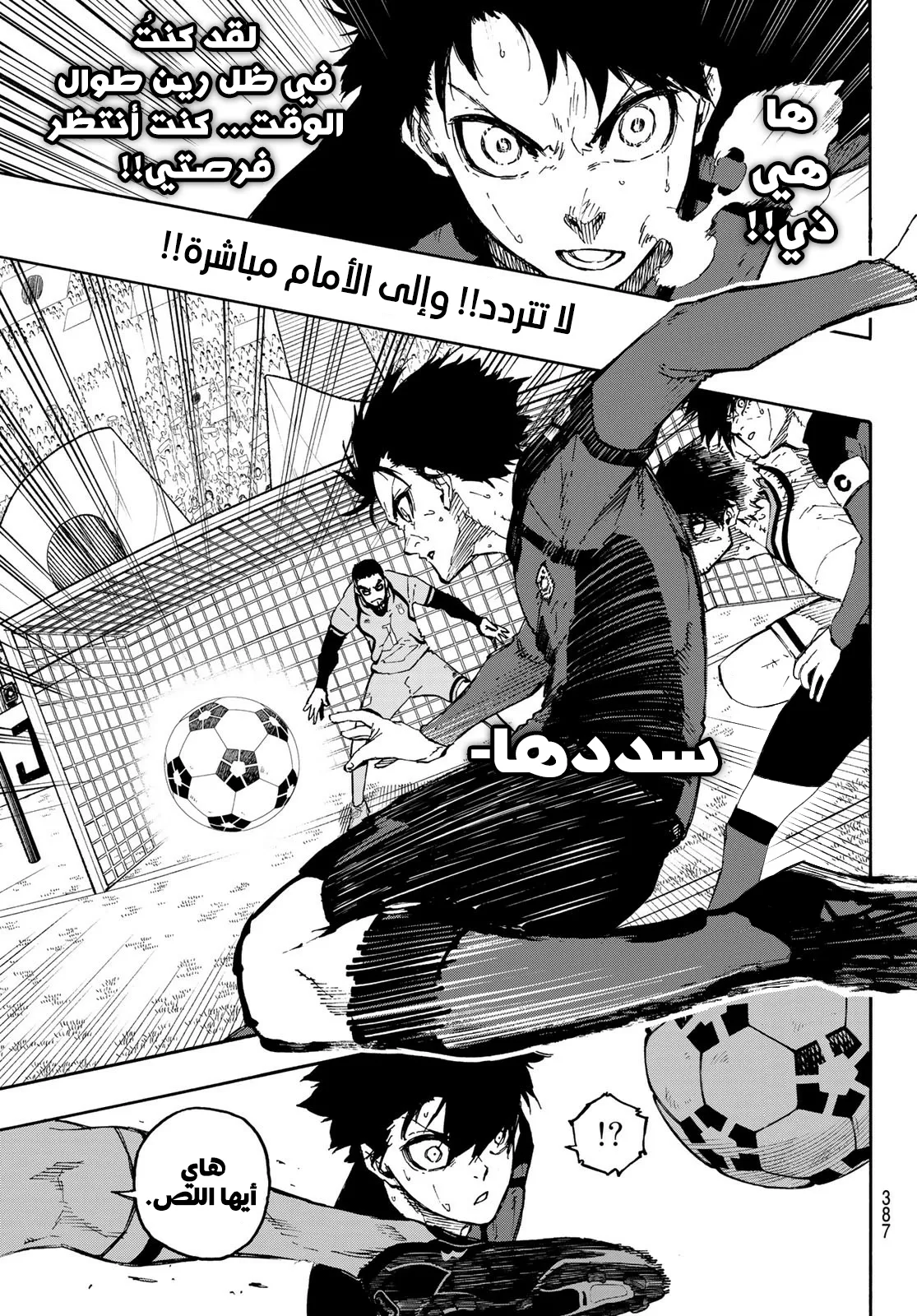 الصفحة 12 من 22