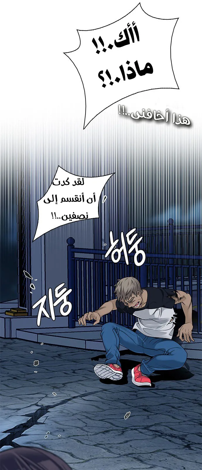 الصفحة 19 من 68