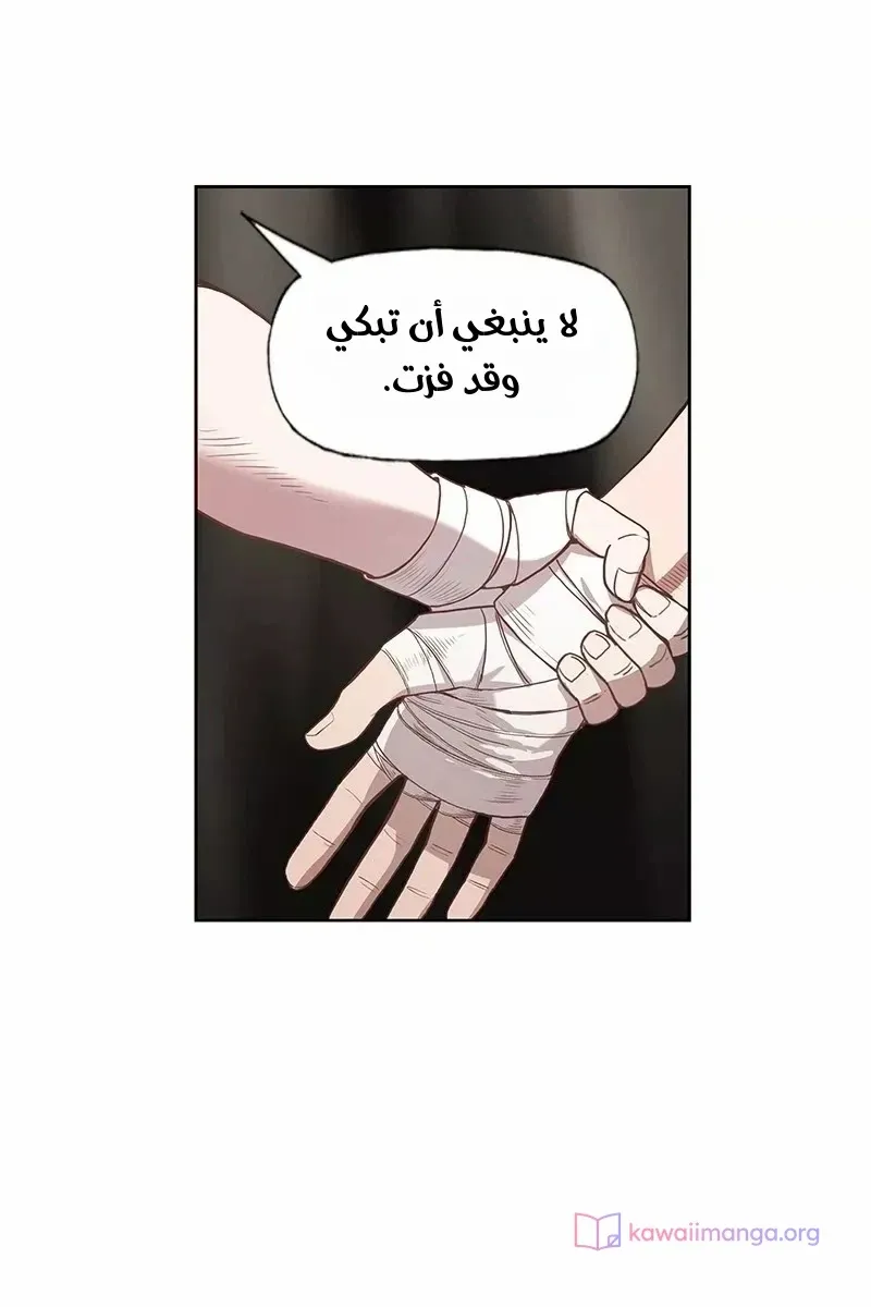 الصفحة 28 من 76
