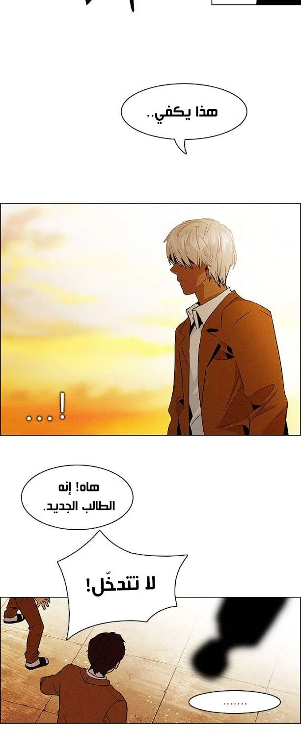 الصفحة 28 من 37