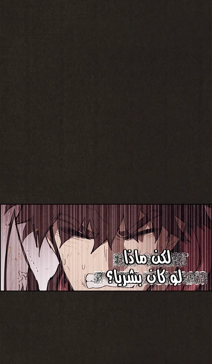 الصفحة 17 من 138