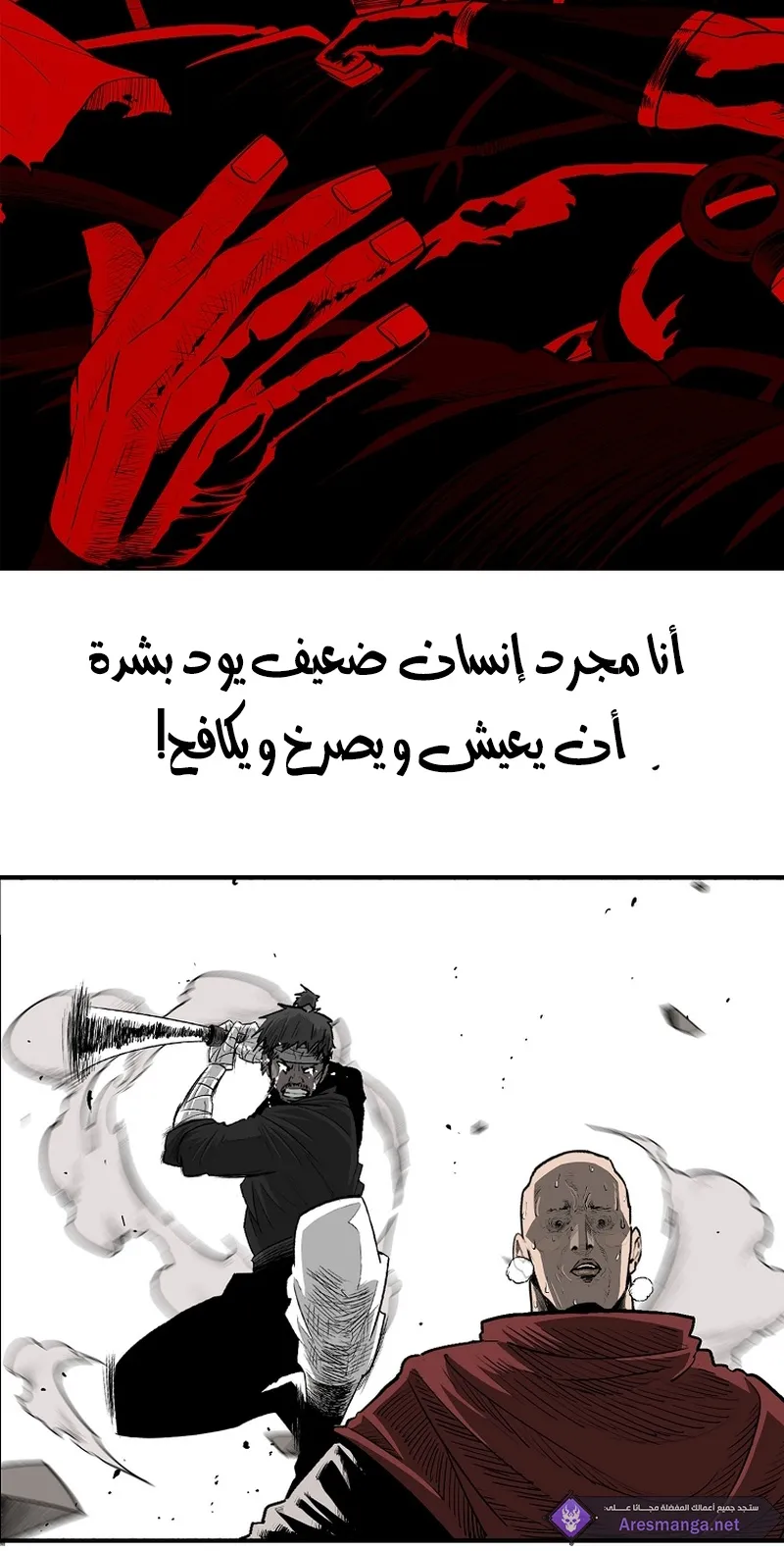 الصفحة 25 من 81