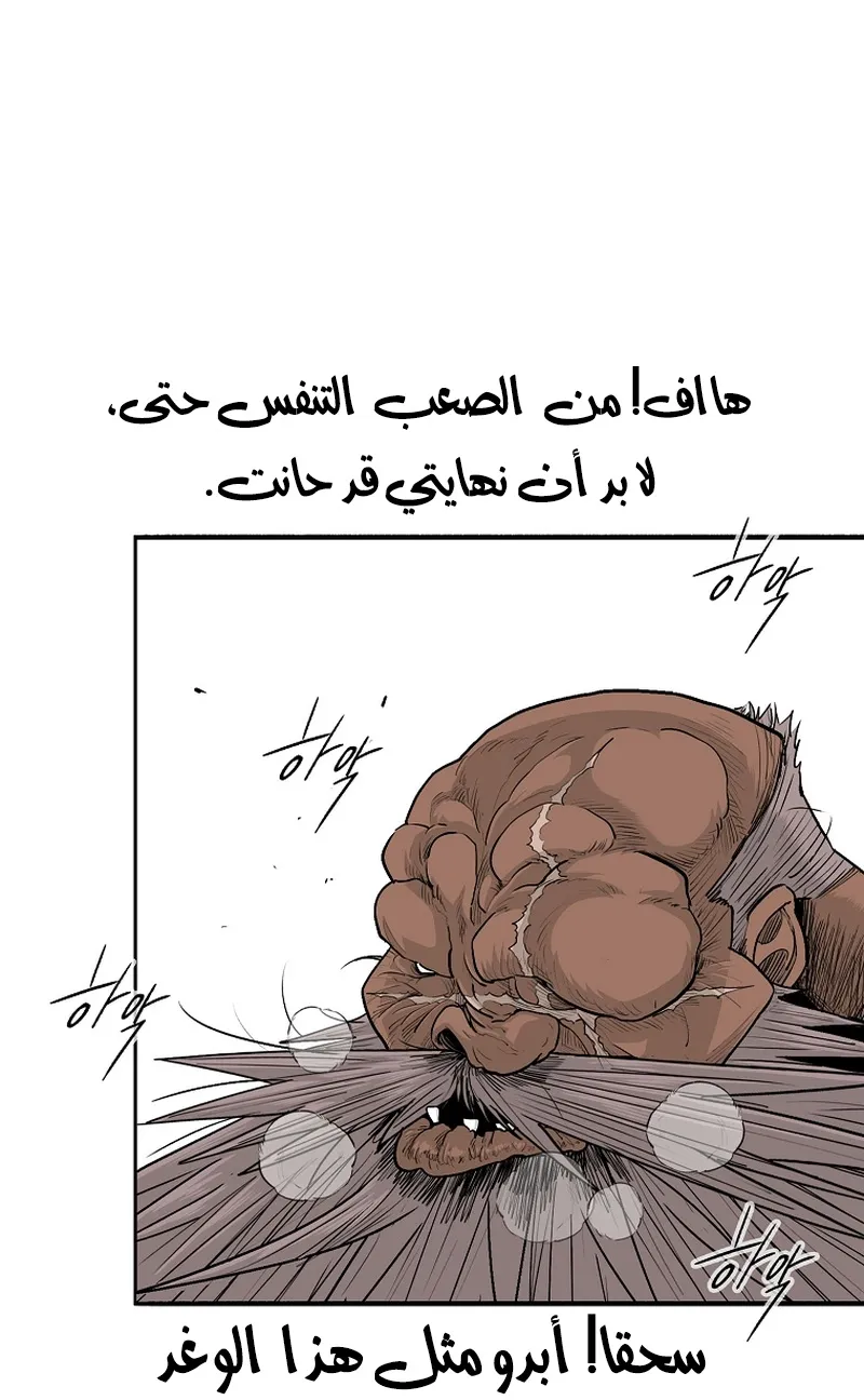 الصفحة 48 من 81