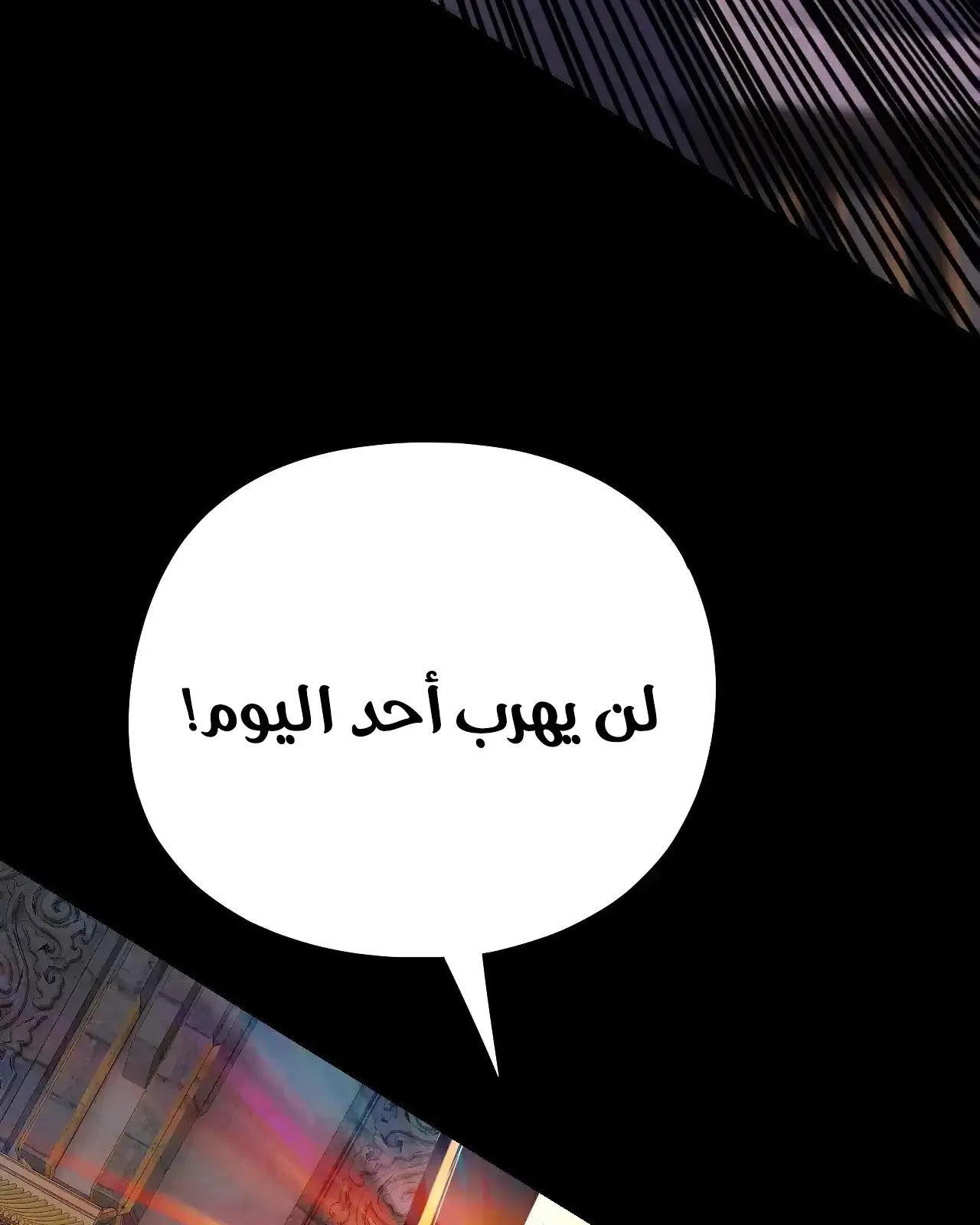 الصفحة 11 من 95