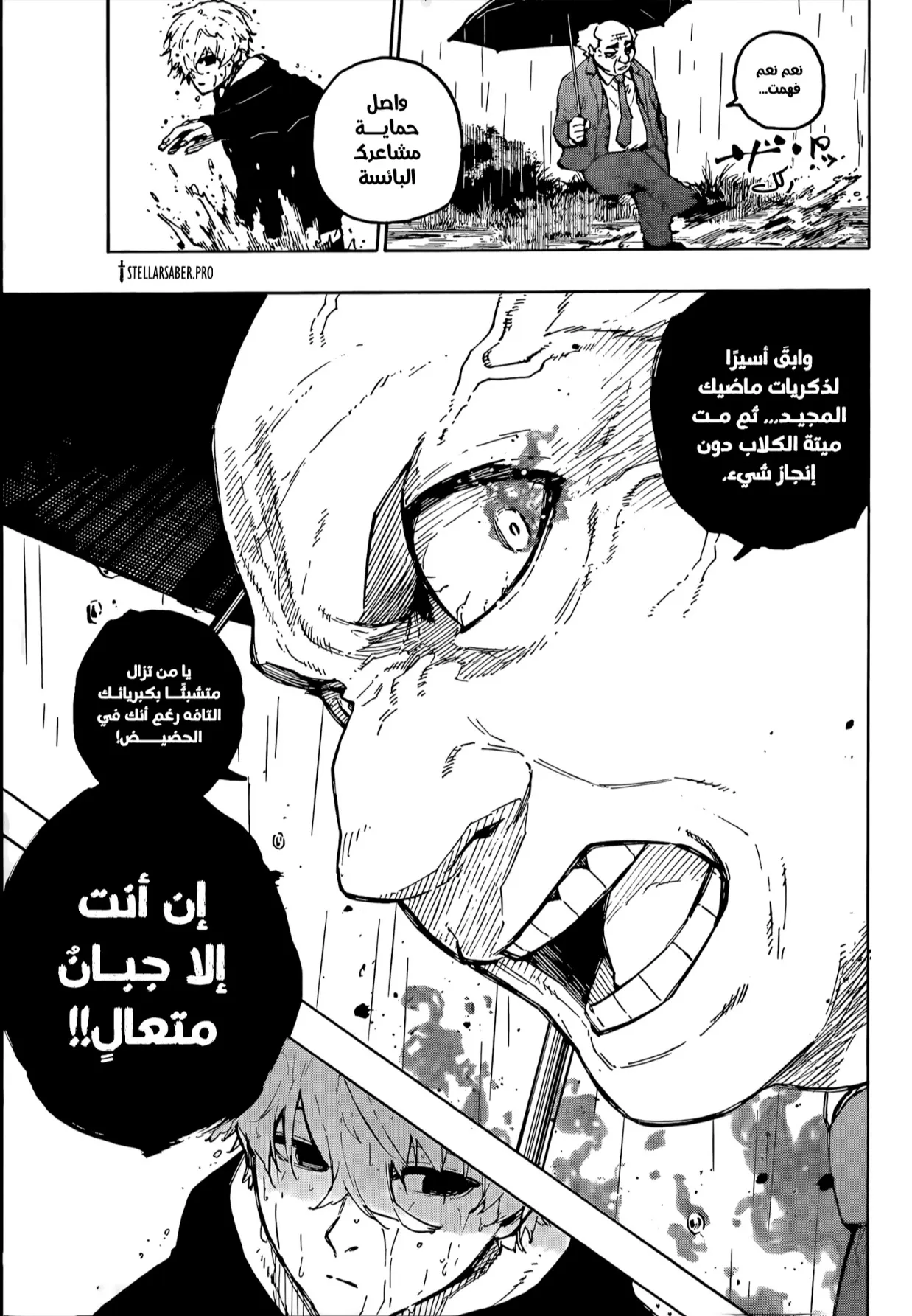 الصفحة 13 من 20