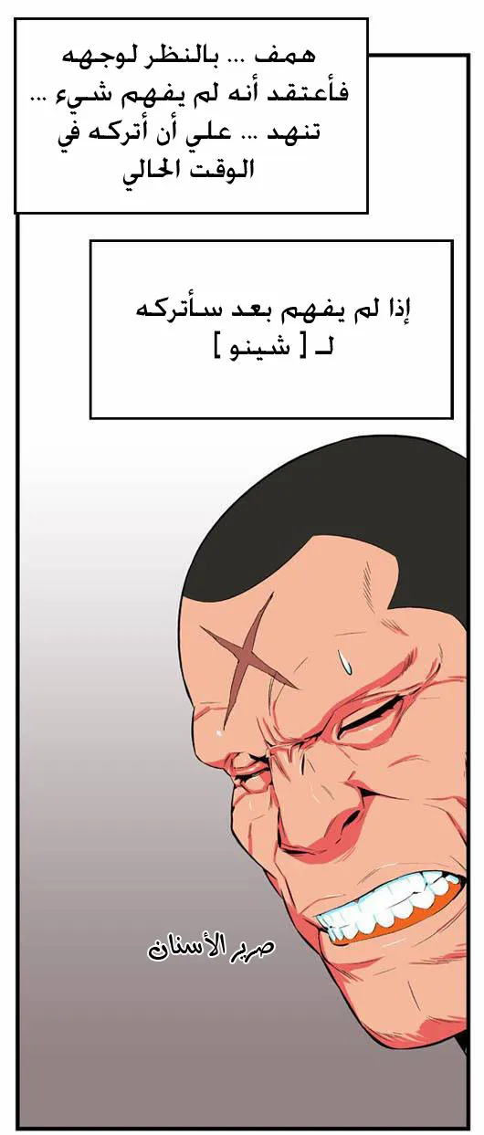 الصفحة 11 من 17