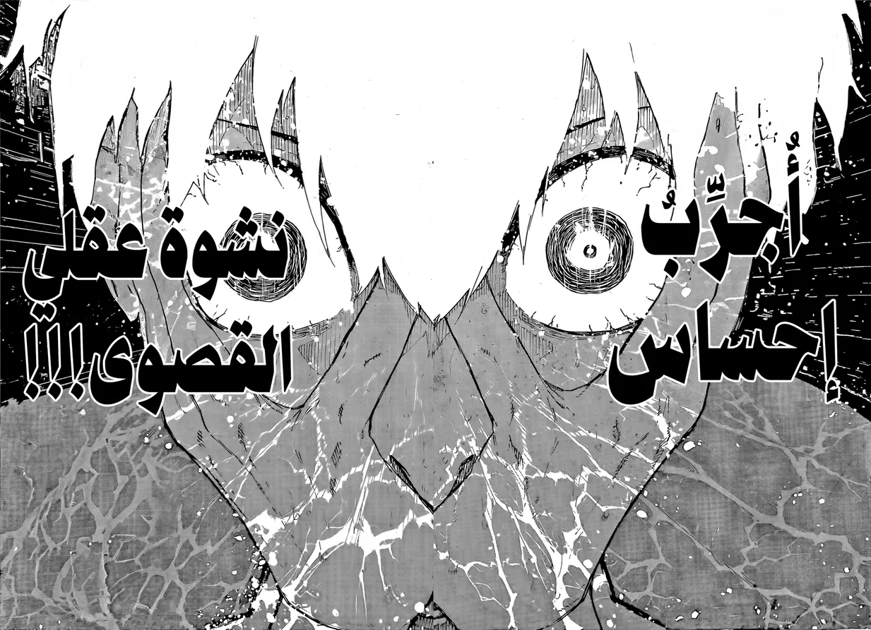 الصفحة 7 من 20