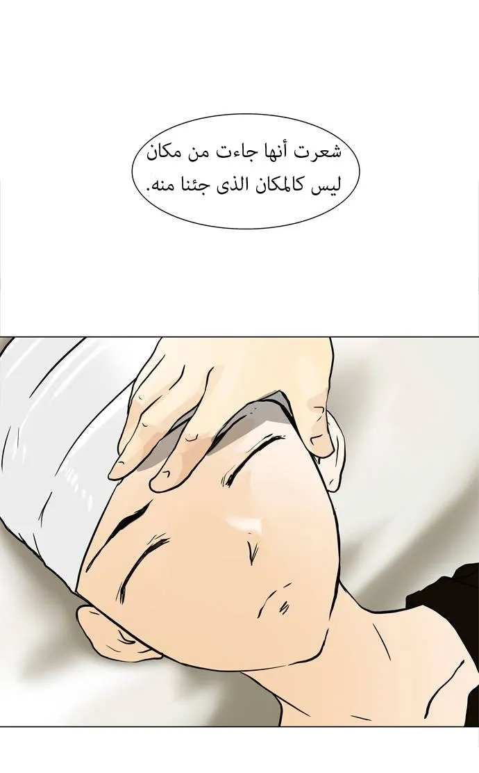الصفحة 24 من 46