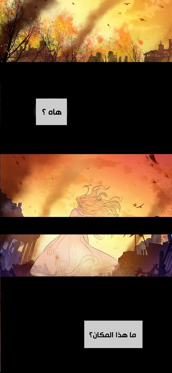 الصفحة 33 من 75