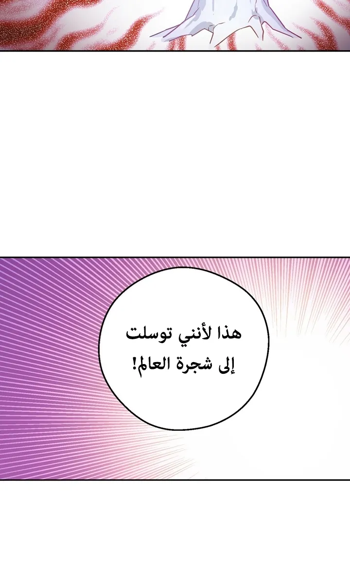 الصفحة 19 من 75