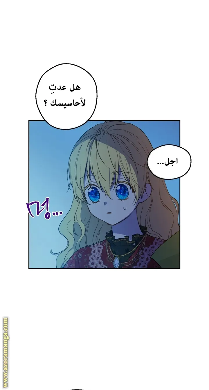 الصفحة 11 من 75