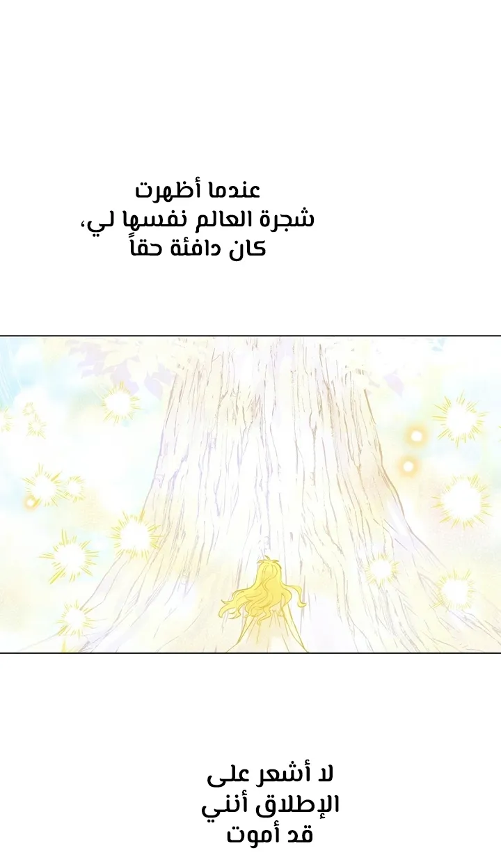 الصفحة 48 من 75