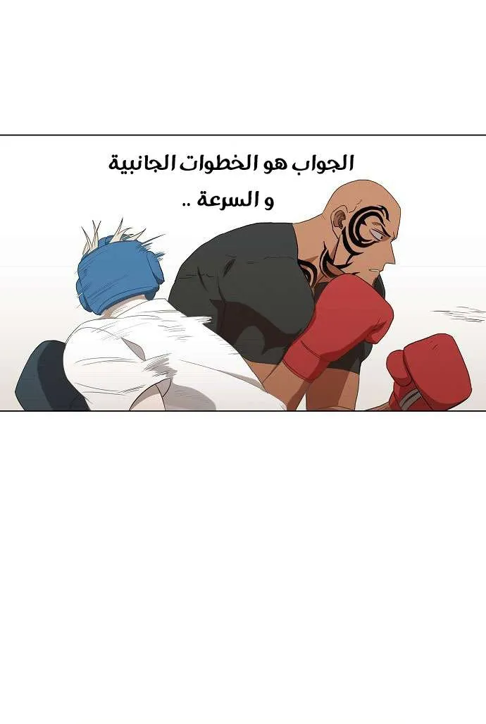 الصفحة 17 من 81