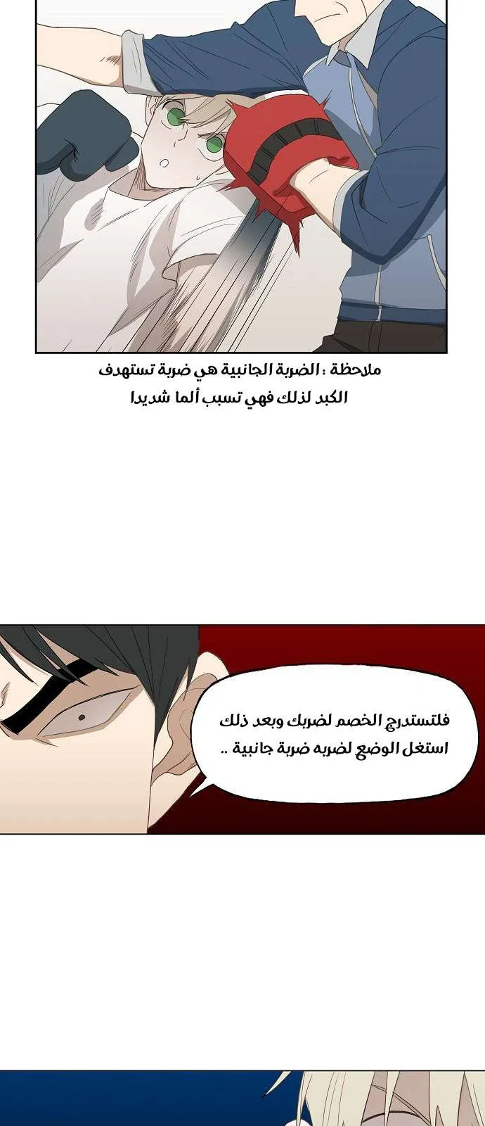 الصفحة 30 من 81