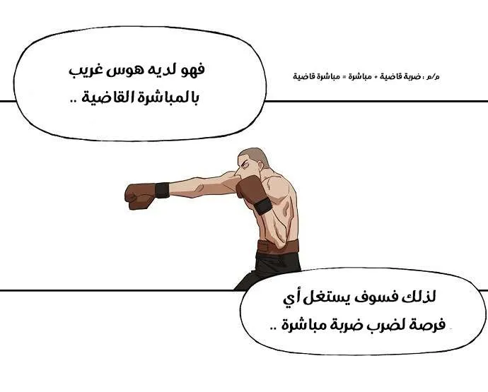 الصفحة 28 من 81