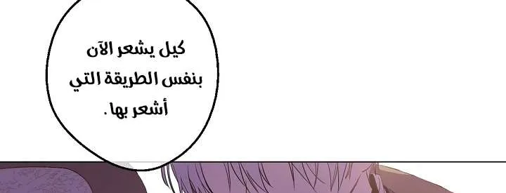 الصفحة 19 من 103