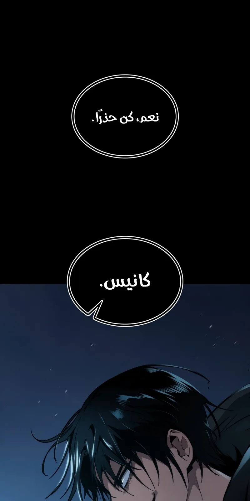 الصفحة 13 من 106
