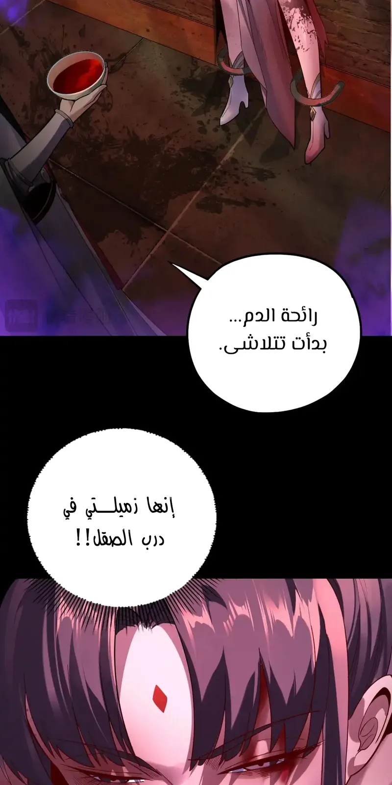 الصفحة 34 من 64