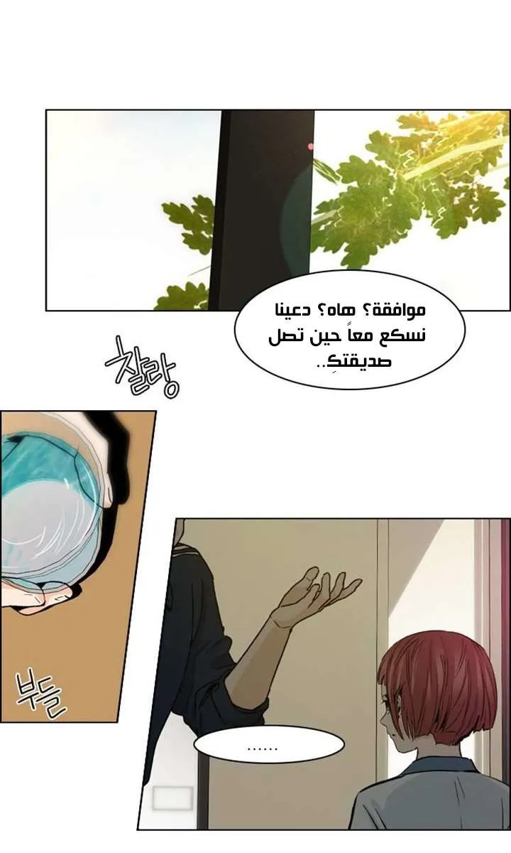الصفحة 34 من 55