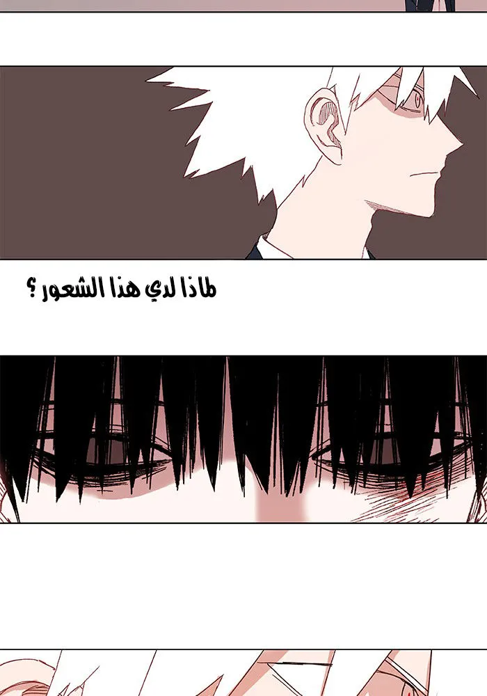 الصفحة 51 من 67