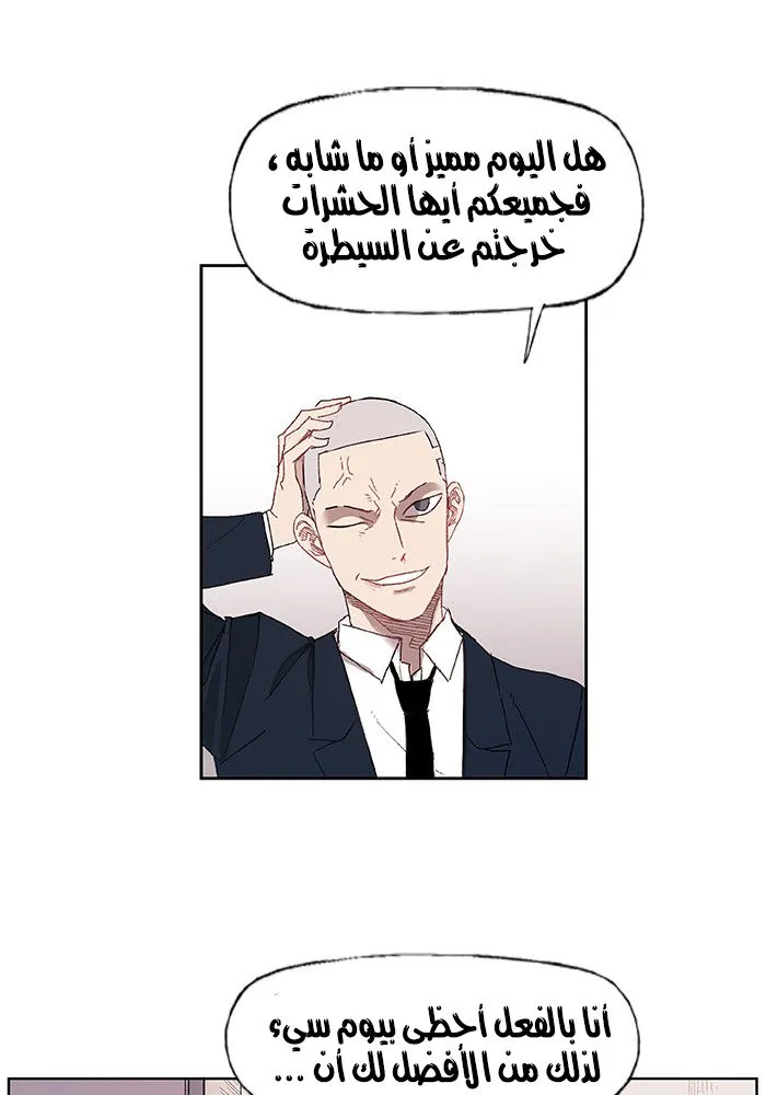 الصفحة 17 من 67