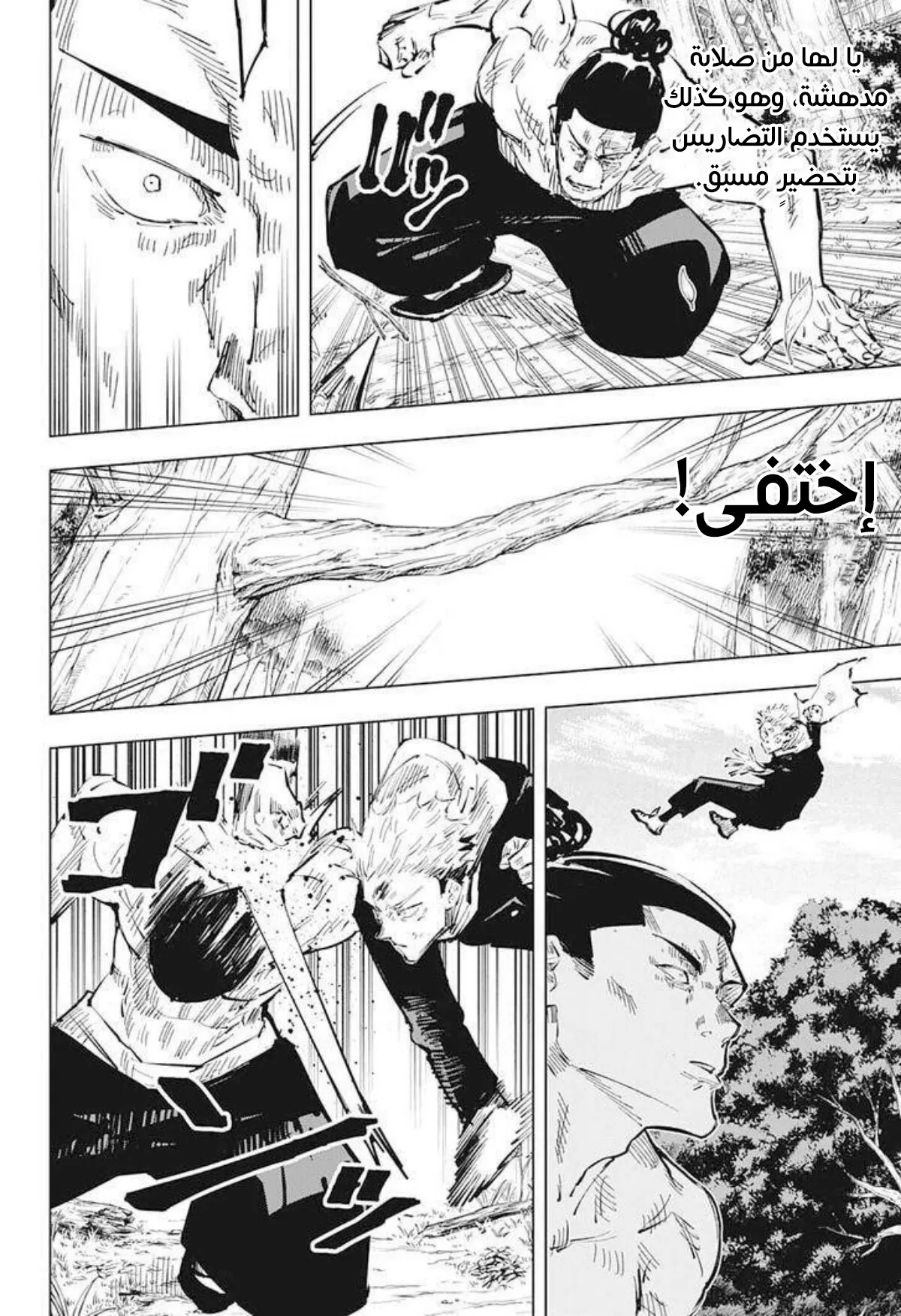 الصفحة 13 من 20