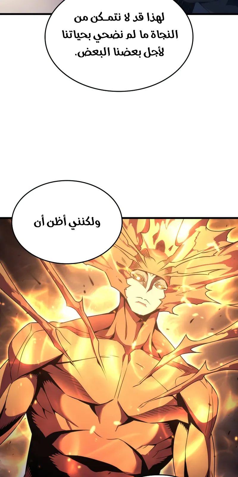 الصفحة 26 من 86