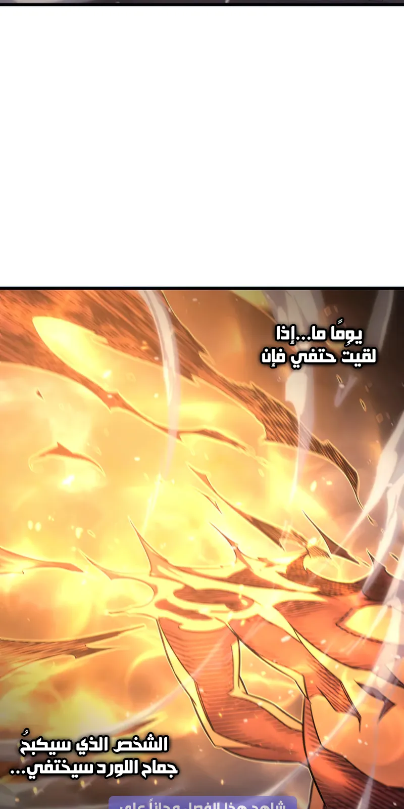 الصفحة 78 من 86