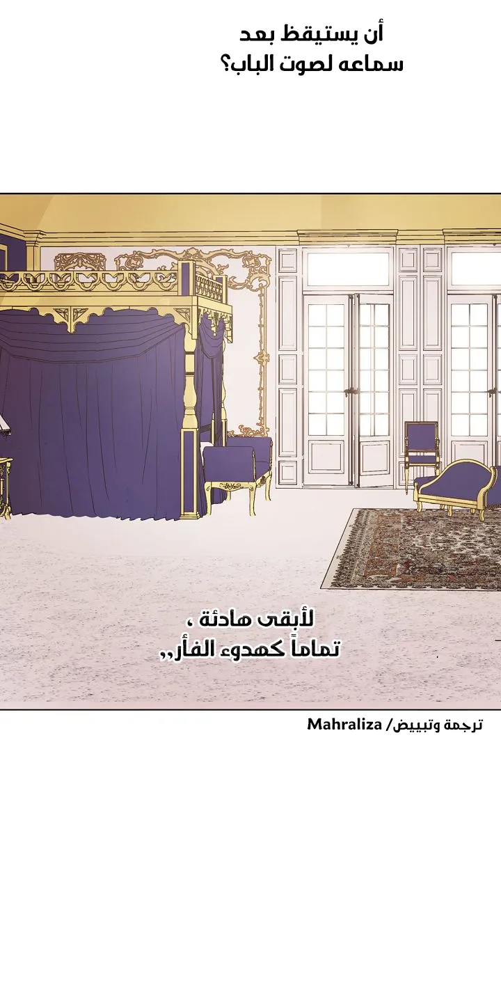 الصفحة 43 من 65