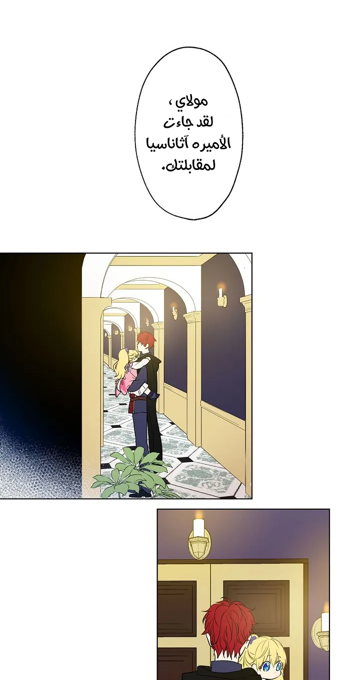 الصفحة 31 من 65
