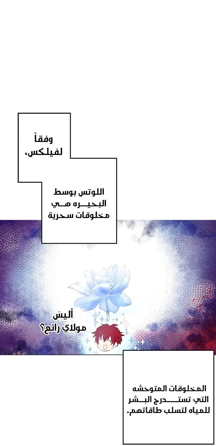 الصفحة 24 من 65