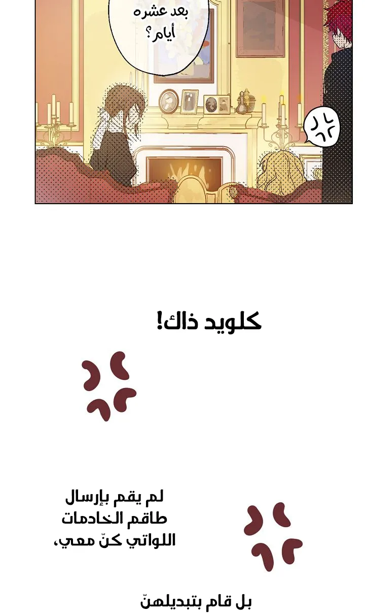 الصفحة 17 من 65