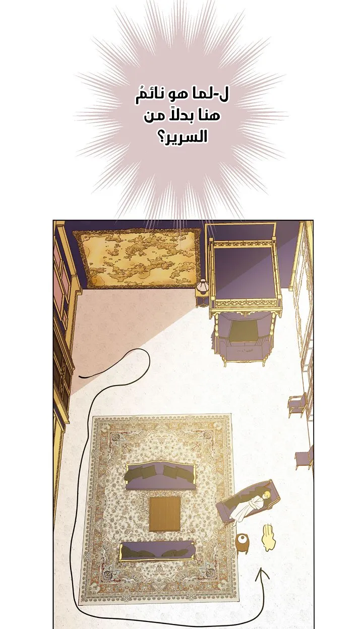 الصفحة 58 من 65