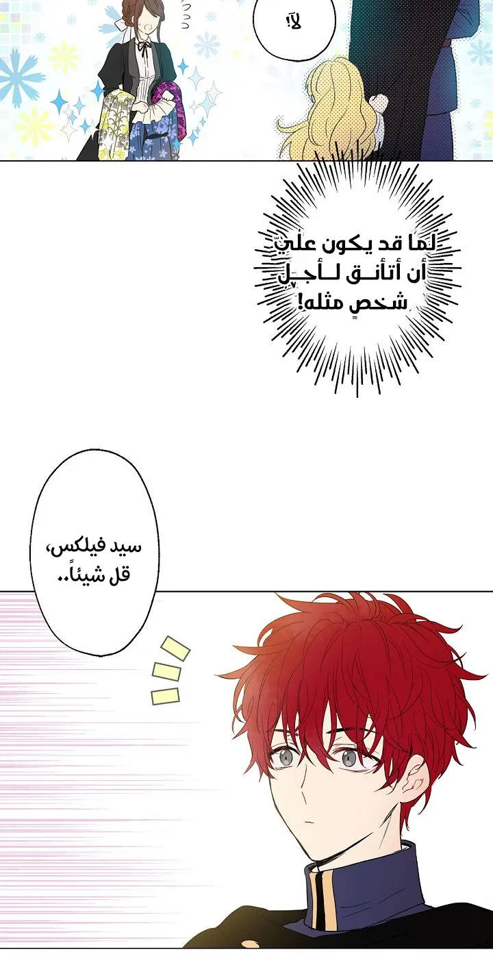 الصفحة 26 من 65