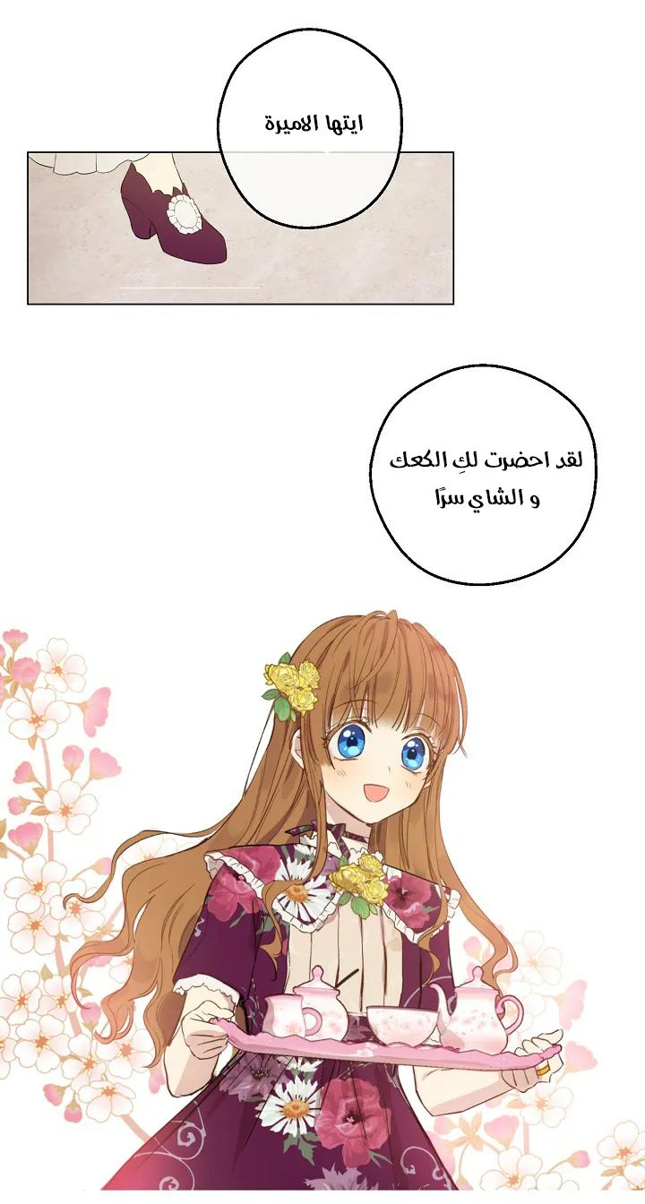 الصفحة 53 من 55
