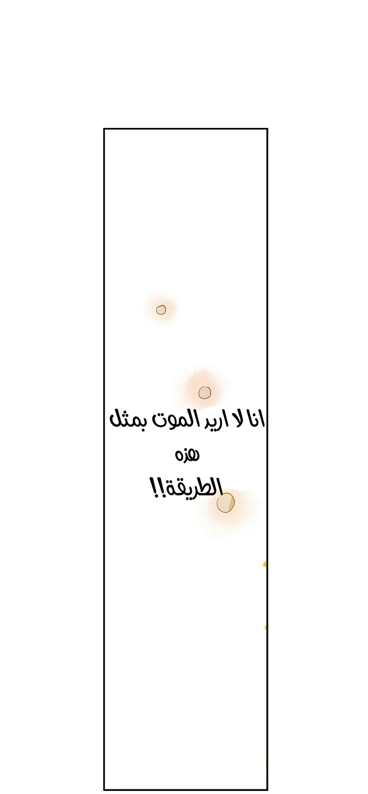الصفحة 12 من 55