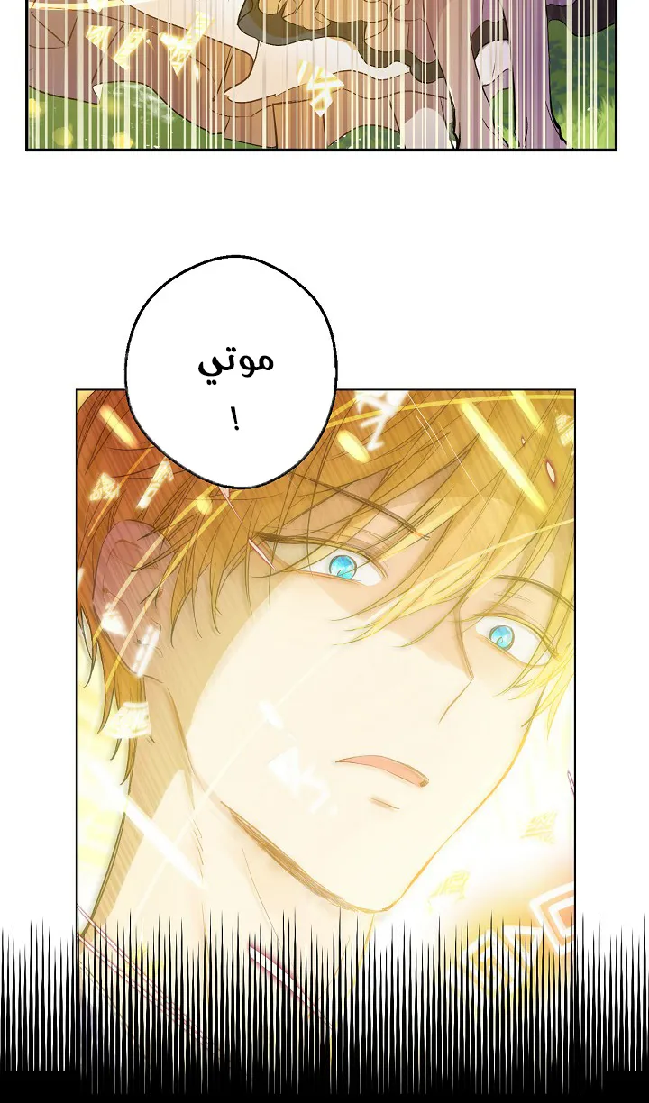 الصفحة 7 من 55