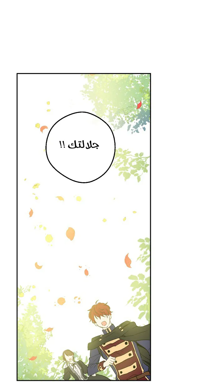 الصفحة 25 من 55