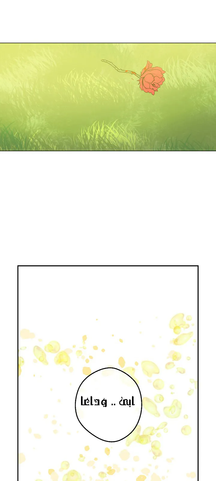 الصفحة 29 من 55