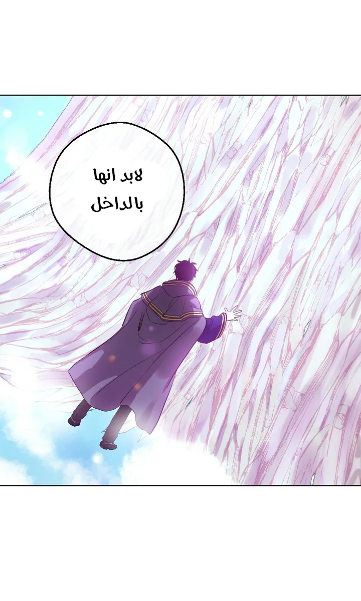 الصفحة 39 من 55