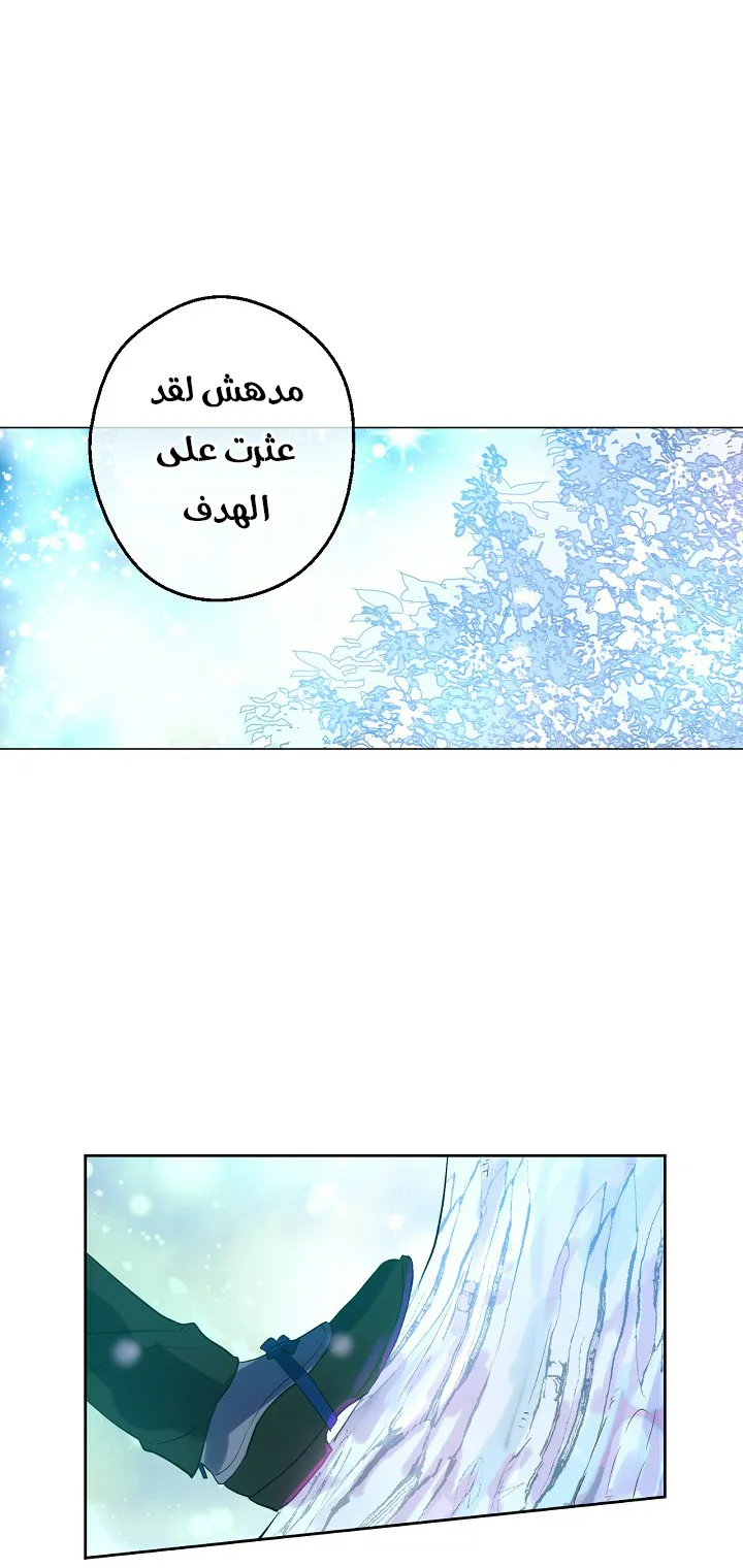 الصفحة 32 من 55