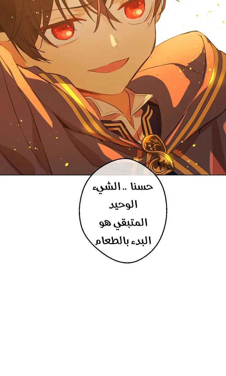 الصفحة 43 من 55