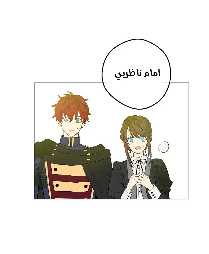الصفحة 28 من 55