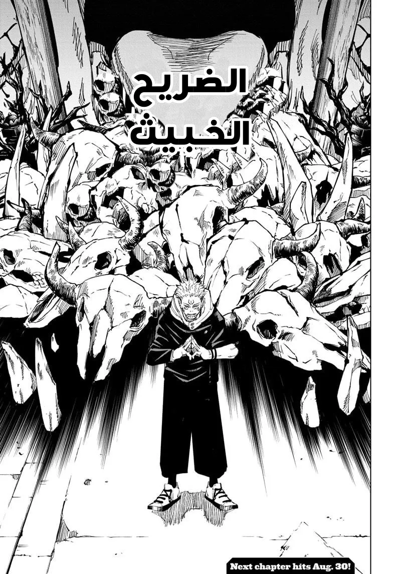 الصفحة 17 من 17