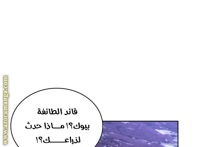 الصفحة 38 من 75