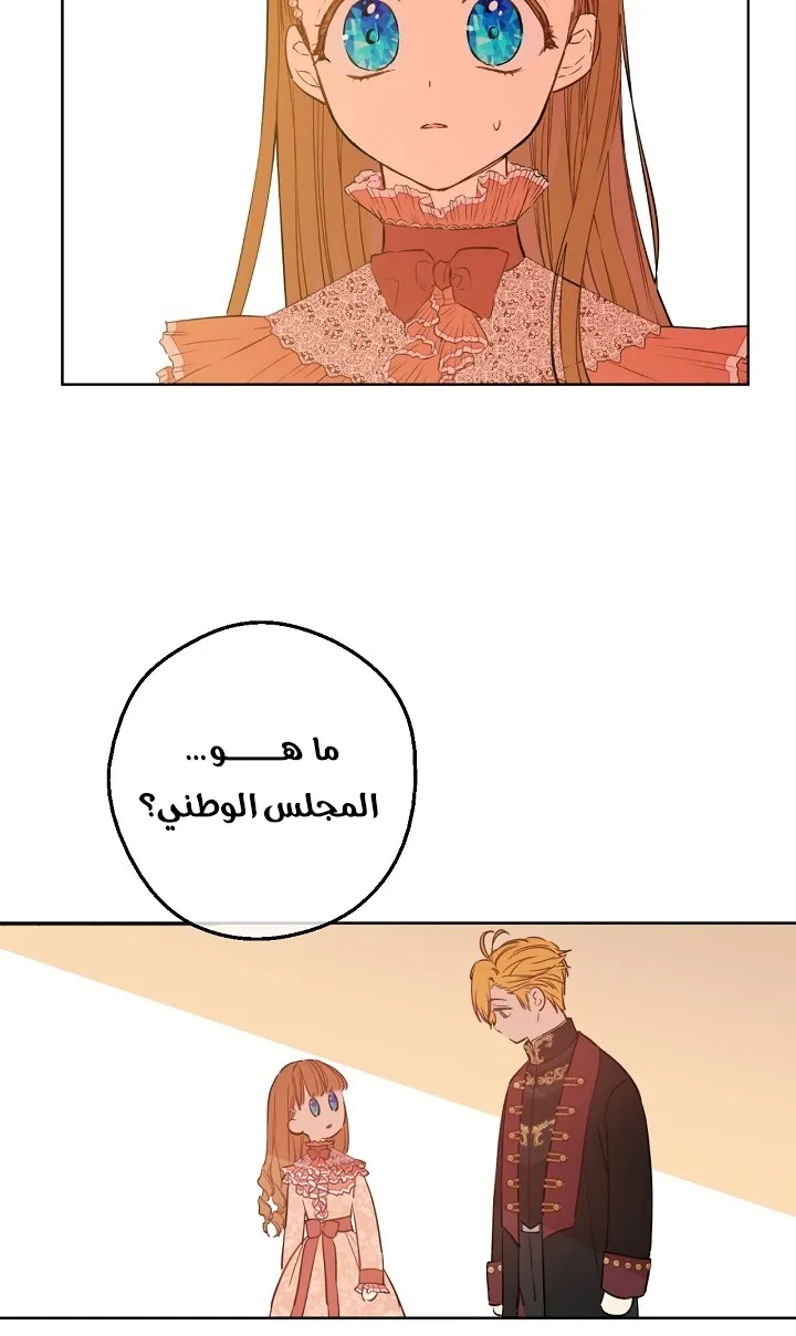 الصفحة 40 من 66