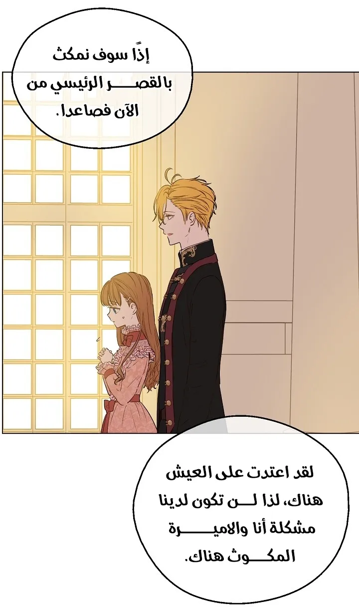 الصفحة 24 من 66