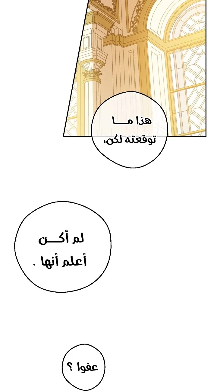 الصفحة 29 من 66