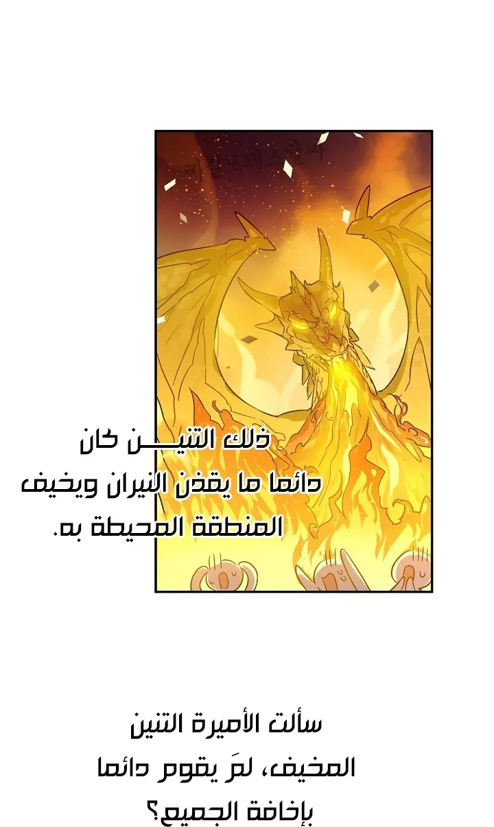 الصفحة 55 من 66